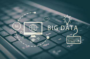 大數(shù)據(jù)營銷 現(xiàn)代化營銷方式的核心引擎與服務(wù)體系